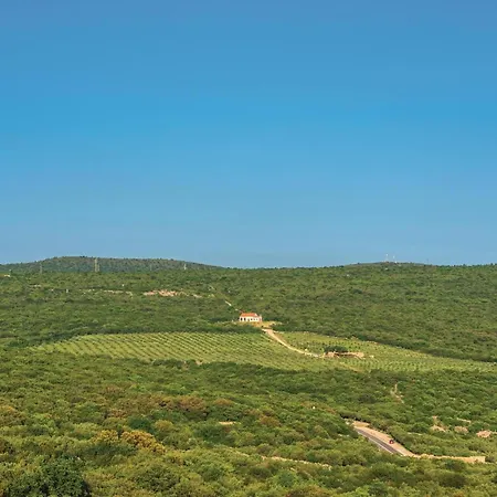 Pet Friendly In With Kitchen Casa vacanze